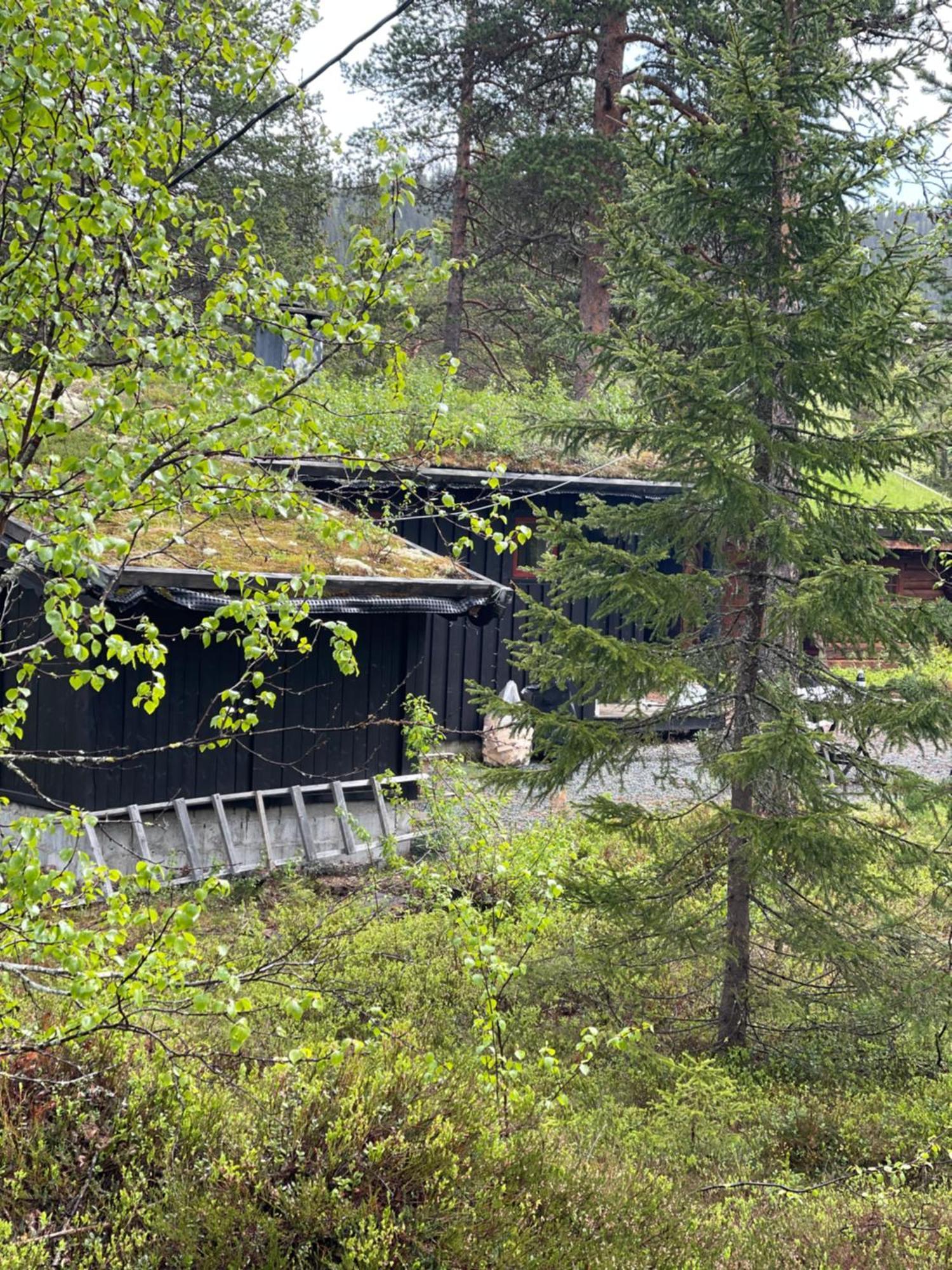 Вилла Hytta Pa Oyfjell Экстерьер фото
