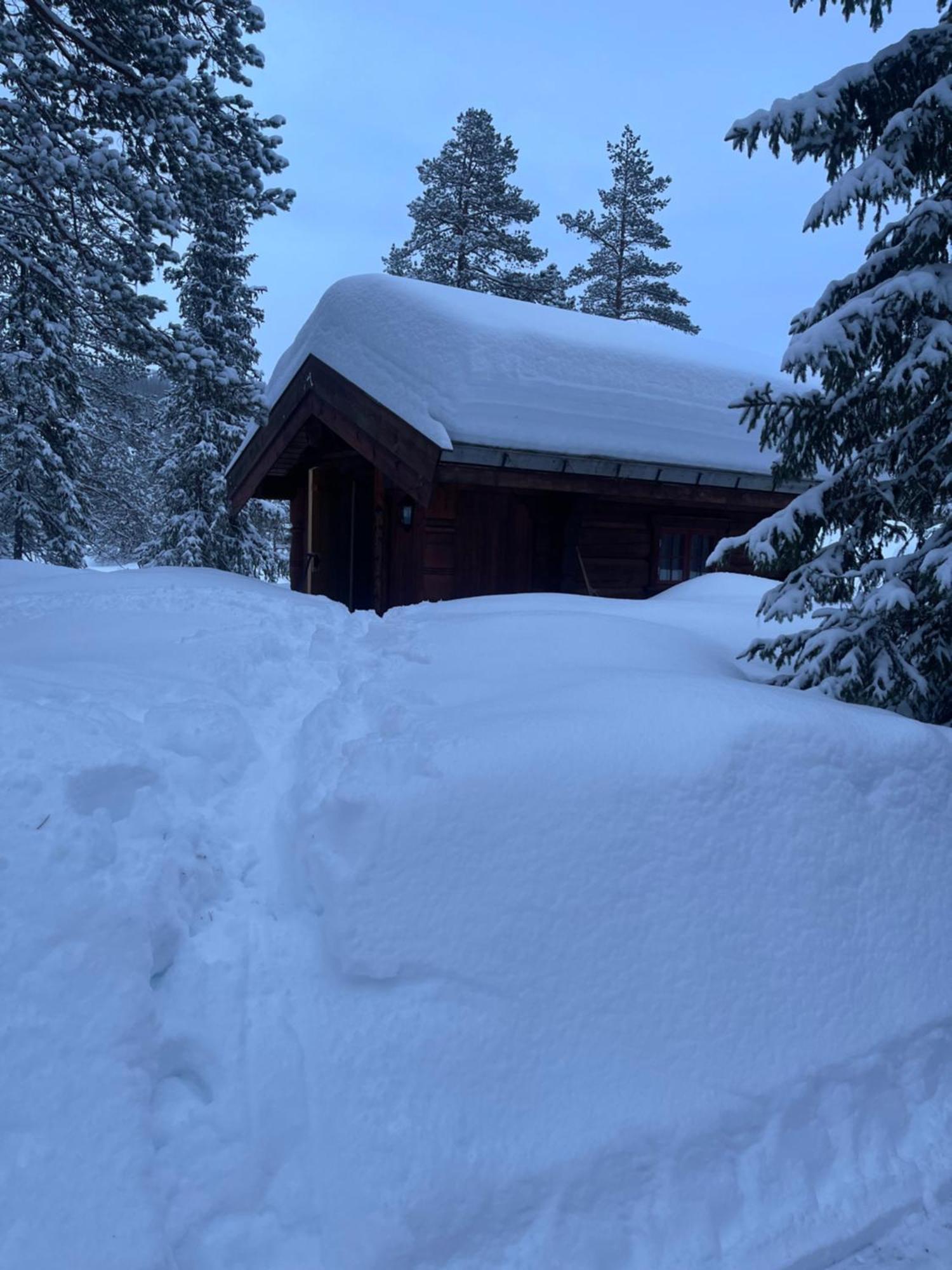 Вилла Hytta Pa Oyfjell Экстерьер фото