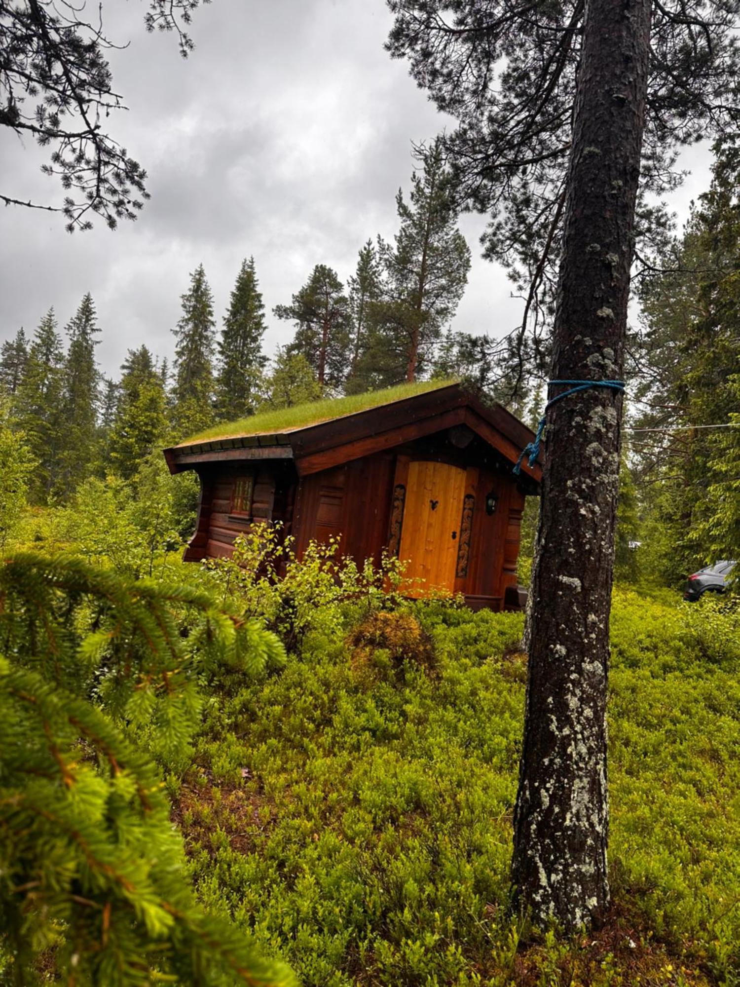 Вилла Hytta Pa Oyfjell Экстерьер фото