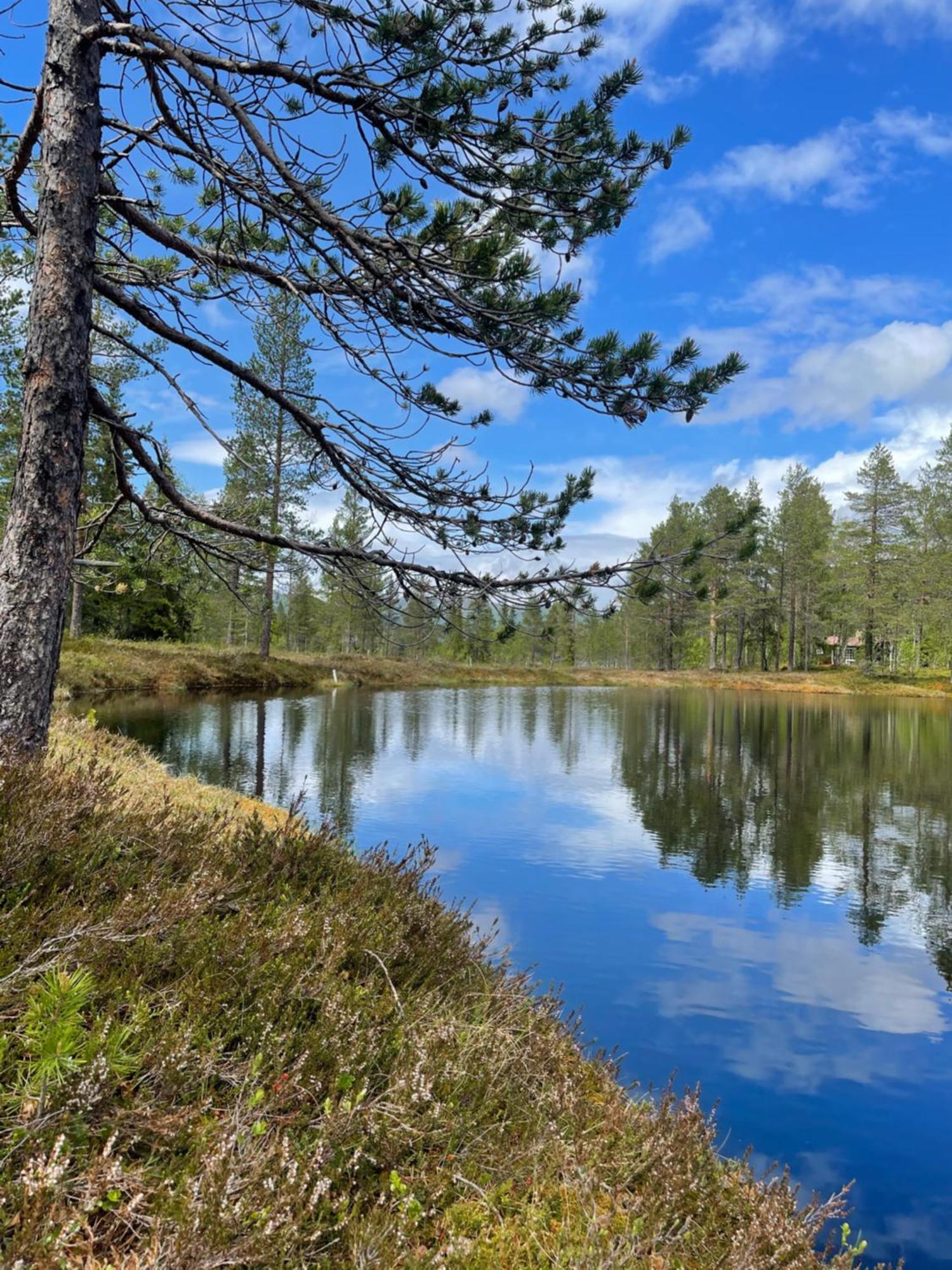 Вилла Hytta Pa Oyfjell Экстерьер фото