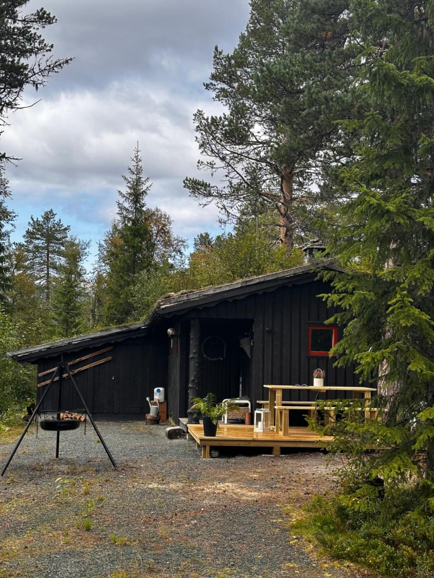 Вилла Hytta Pa Oyfjell Экстерьер фото