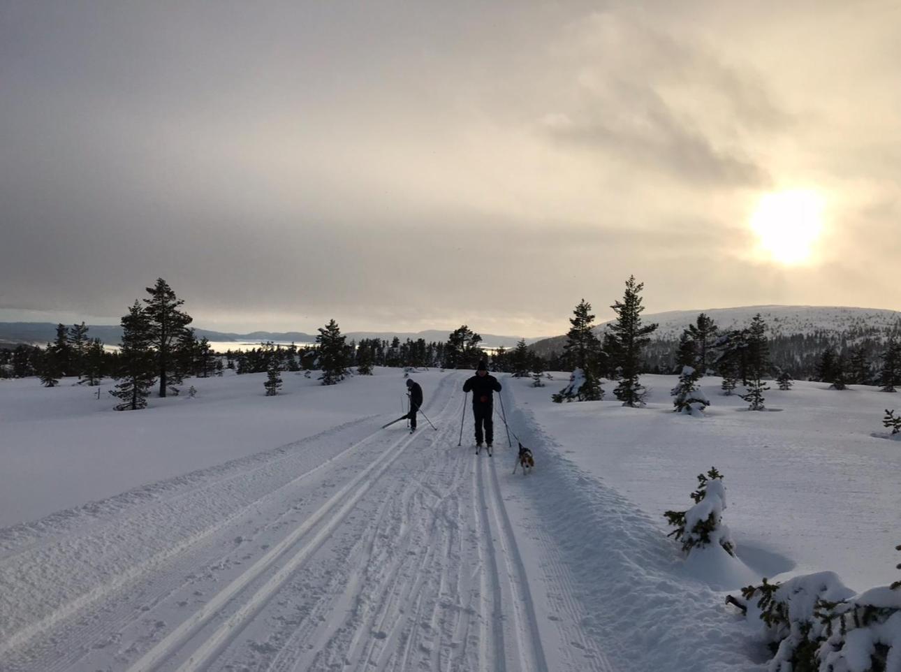 Вилла Hytta Pa Oyfjell Экстерьер фото