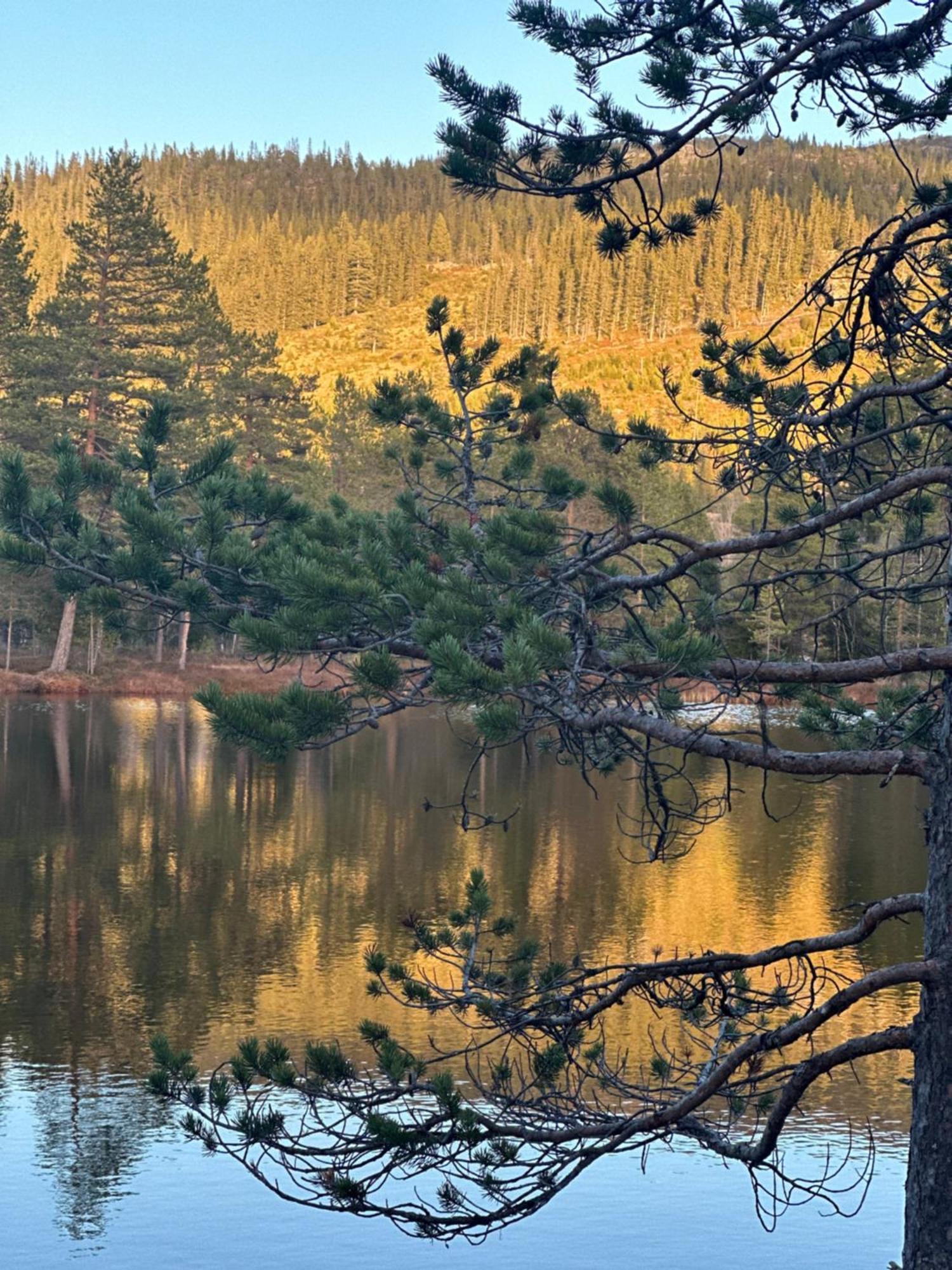 Вилла Hytta Pa Oyfjell Экстерьер фото